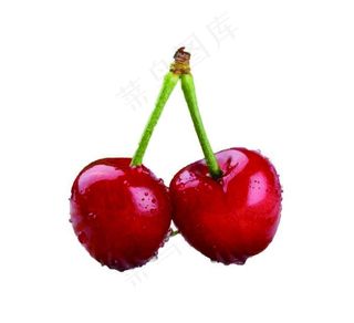 拟真樱桃图片