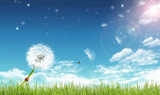 花图片 花图片