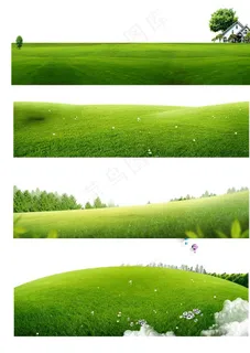 草地图片