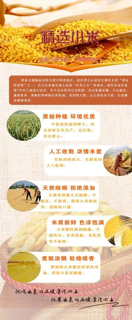 小米展销海报图片(2268X5102(DPI:72))psd模版下载