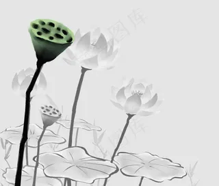 水墨荷花图片