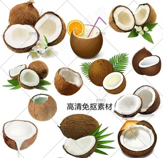 椰子图片