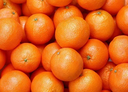 新鲜橙子图片