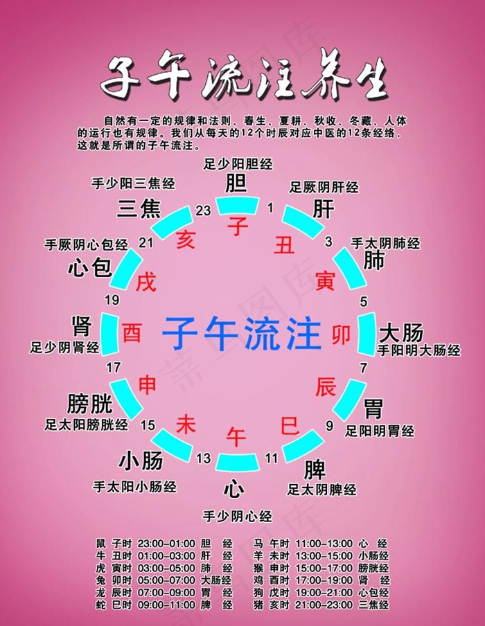 美容瘦身理疗养生之子午流注养生图片