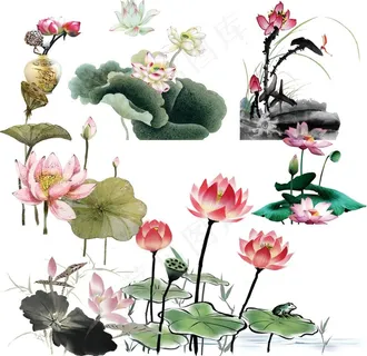 水墨荷花图片 水墨荷花图片