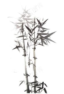 水墨竹子图片