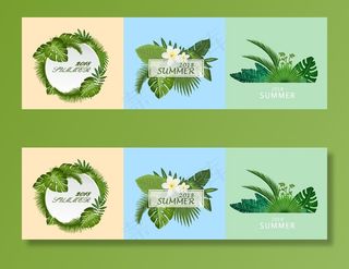 热带植物背景素材图片