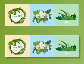 热带植物背景素材图片