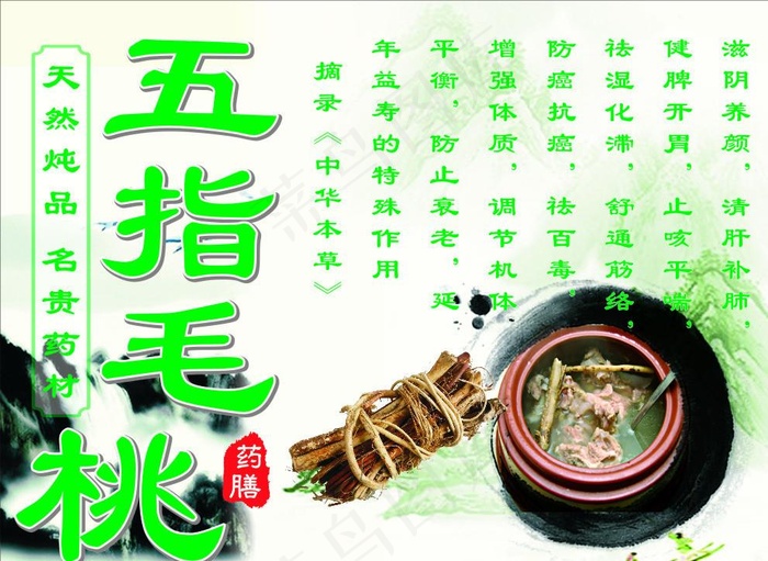 五指毛桃图片(210X297)cdr矢量模版下载