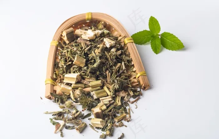 益母草图片