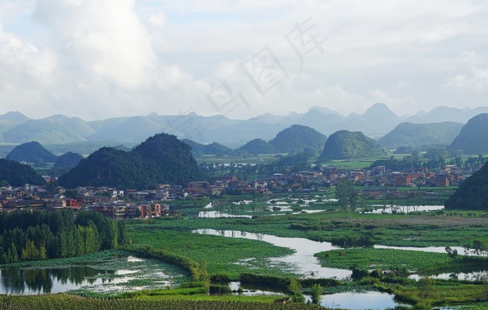 云南 文山 丘北 普者黑 湿地图片