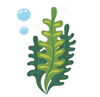 海洋植物图片