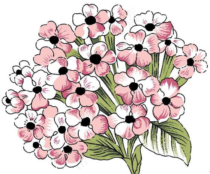 数码印花图案图片