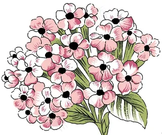 数码印花图案图片