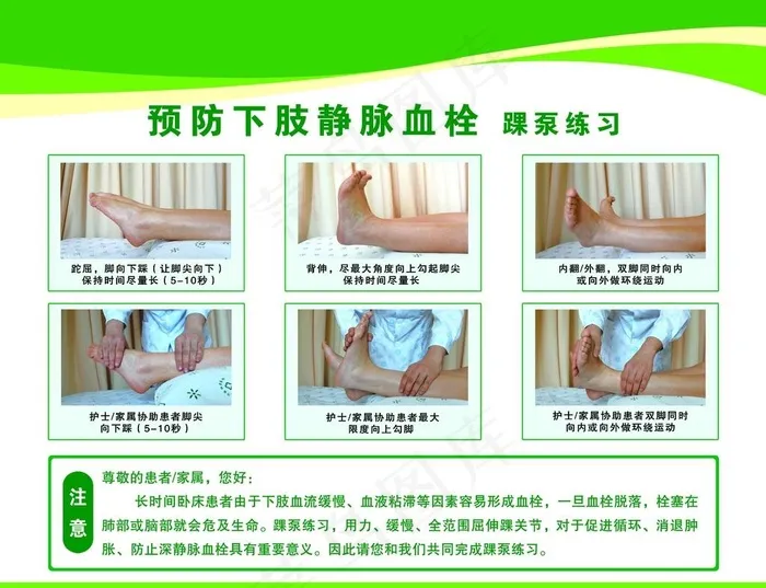 静脉血栓图片(5846X4665(DPI:300))psd模版下载