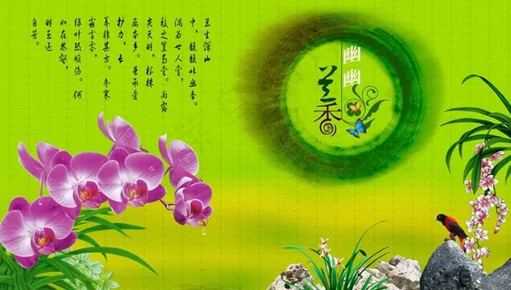 幽幽兰香图片 幽幽兰香图片