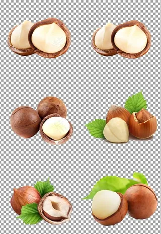 坚果夏威夷果图片