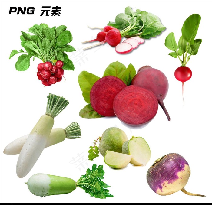 萝卜元素图片psd模版下载