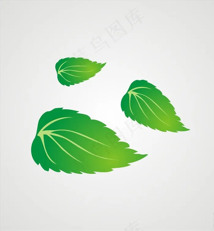 树叶 叶子图片cdr矢量模版下载