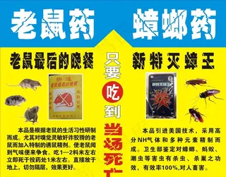 老鼠蟑螂药图片