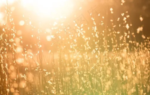 黄色太阳背景图片