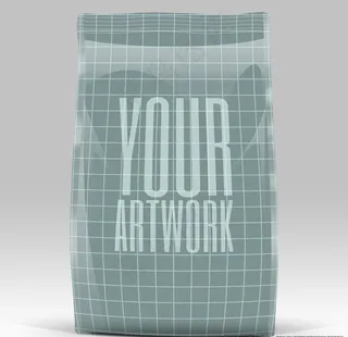 袋子包装 样机图片