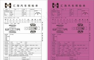 汽车预检单图片