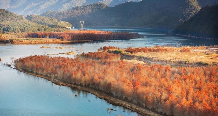 青龙湾红杉风景图片