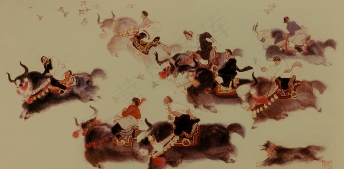 赛牦牛图片
