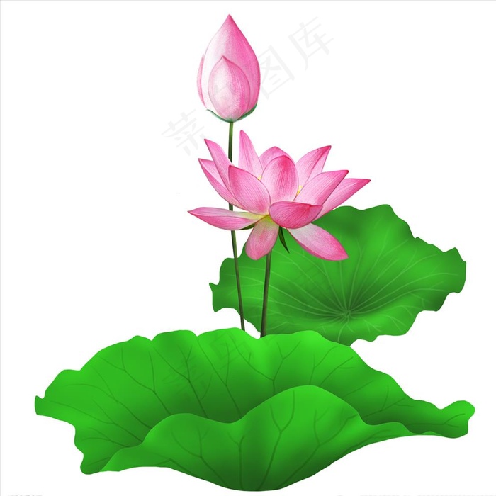荷花莲花水墨荷花素材图片psd模版下载