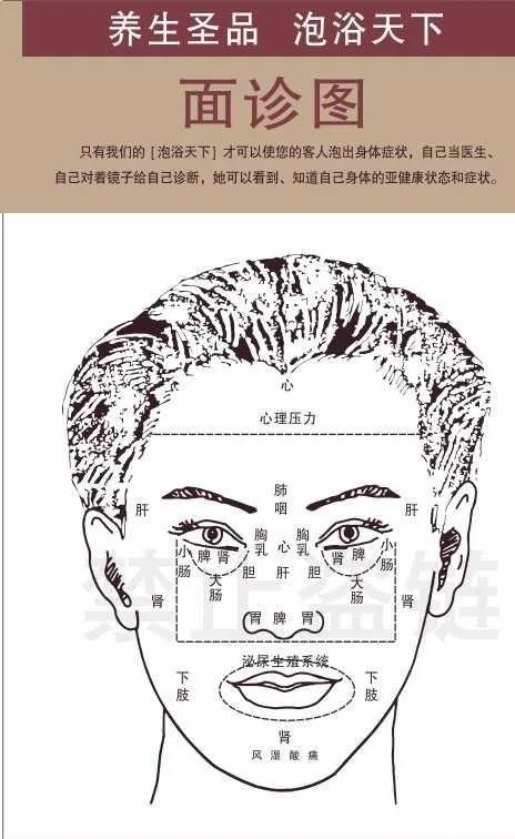 面诊图图片cdr矢量模版下载