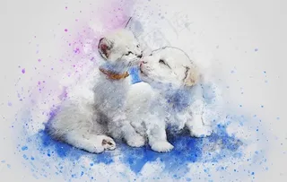 插画猫与狗图片