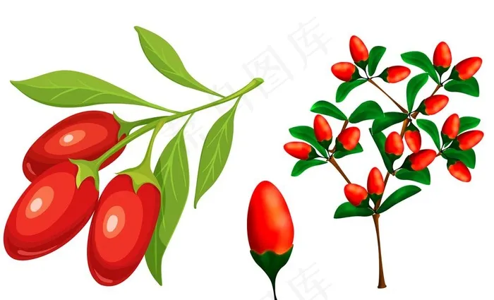 枸杞图片(6473X4132(DPI:300))psd模版下载