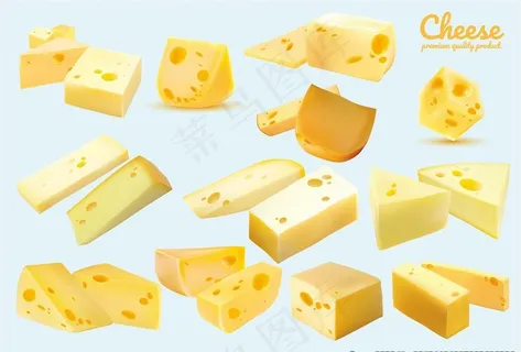 奶酪矢量图图片