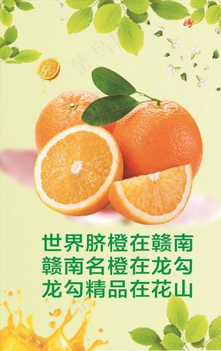 脐橙 橙子 橙子海报 橙子展架图片