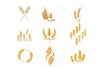麦穗元素图片