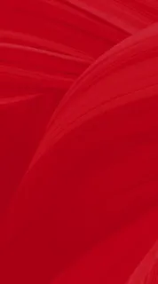 红色底纹图片
