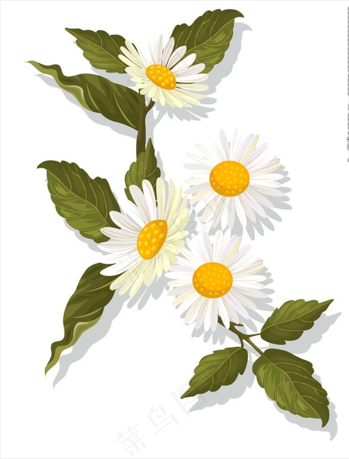 手绘花卉图片