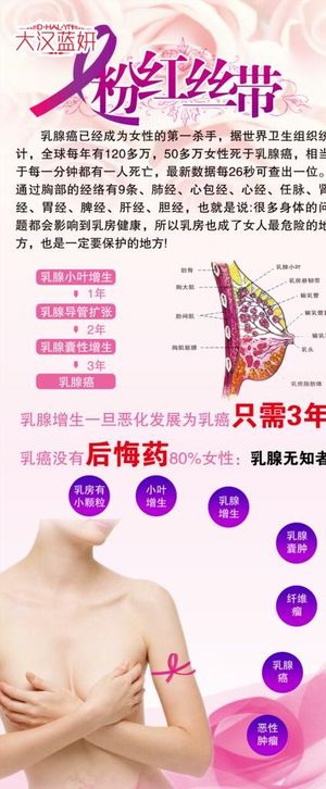 大汉蓝妍展架图片