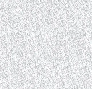 皮纹 皮革高清素材图片