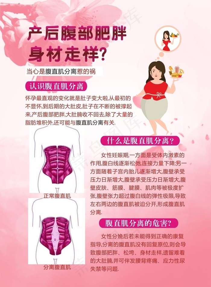 腹直肌图片cdr矢量模版下载
