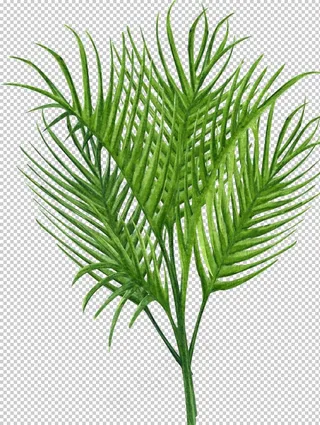 绿植水彩插画图片