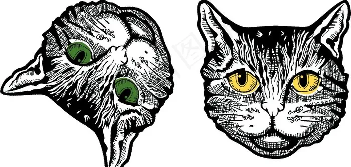 猫头图片