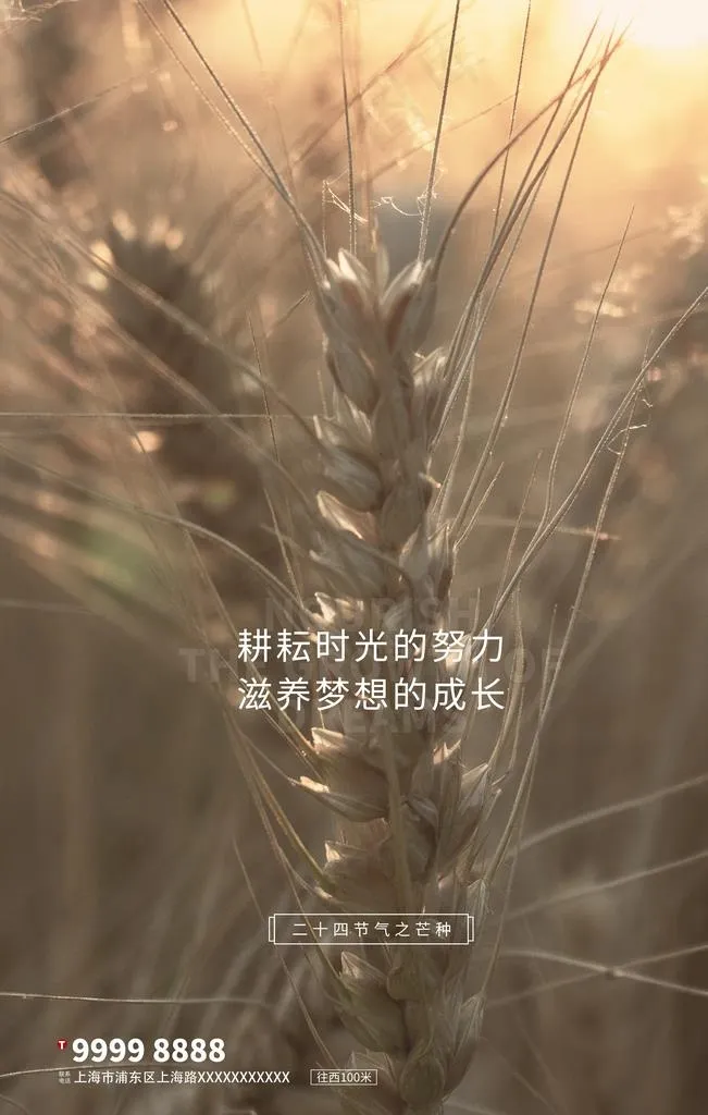 芒种小麦棕色写实海报图片(3543X5315(DPI:150))psd模版下载