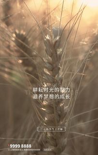 芒种小麦棕色写实海报图片