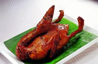 农家碌番鸭图片