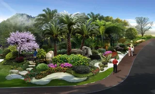 路边植物造景图片