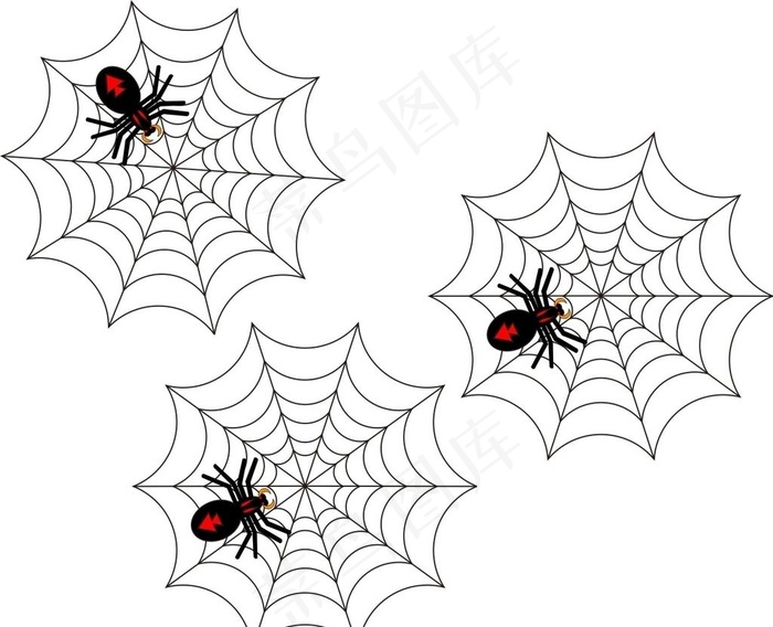 蜘蛛图片