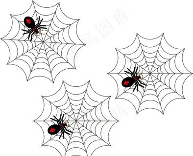 蜘蛛图片