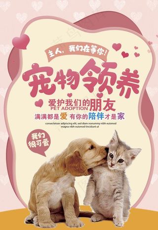宠物领养图片